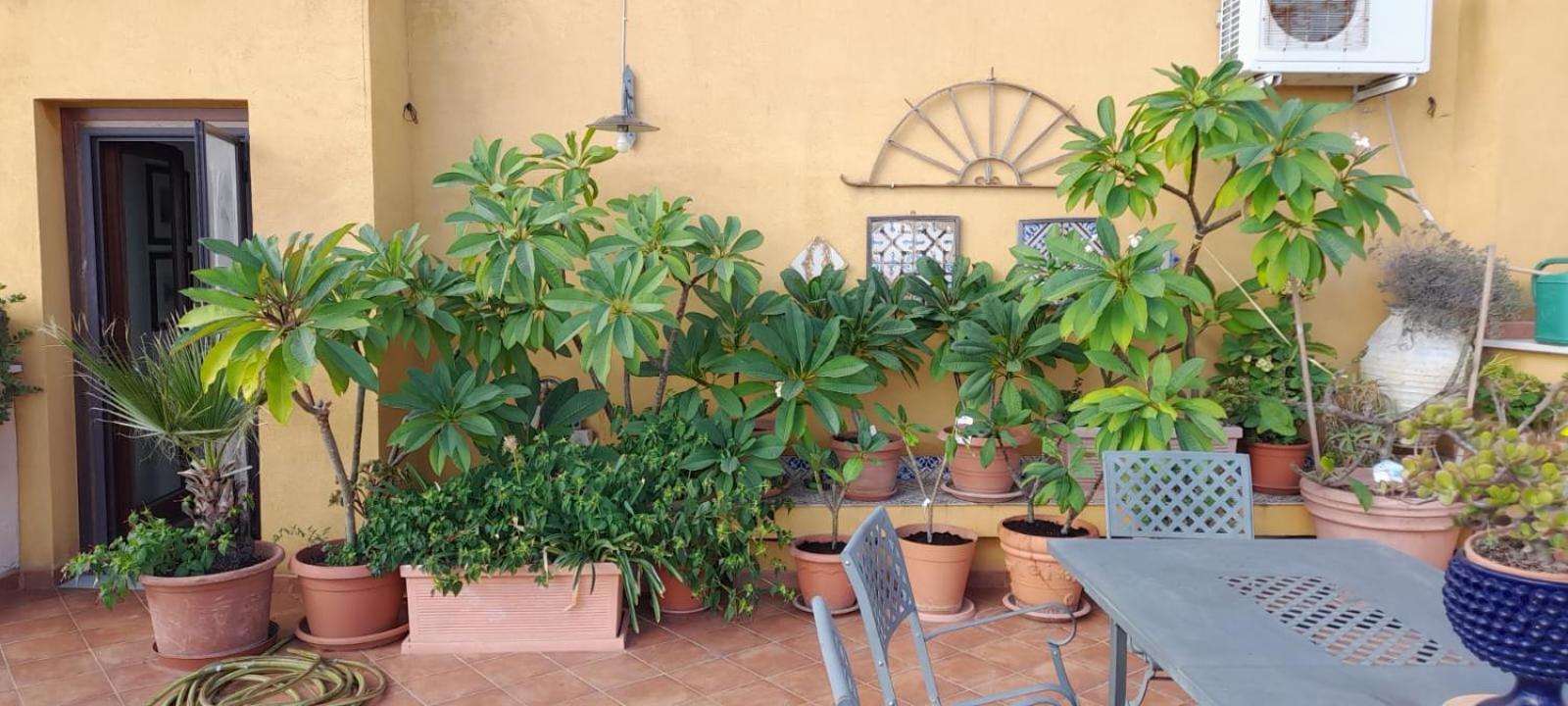 Terrazze Di Montelusa Agrigento Dış mekan fotoğraf